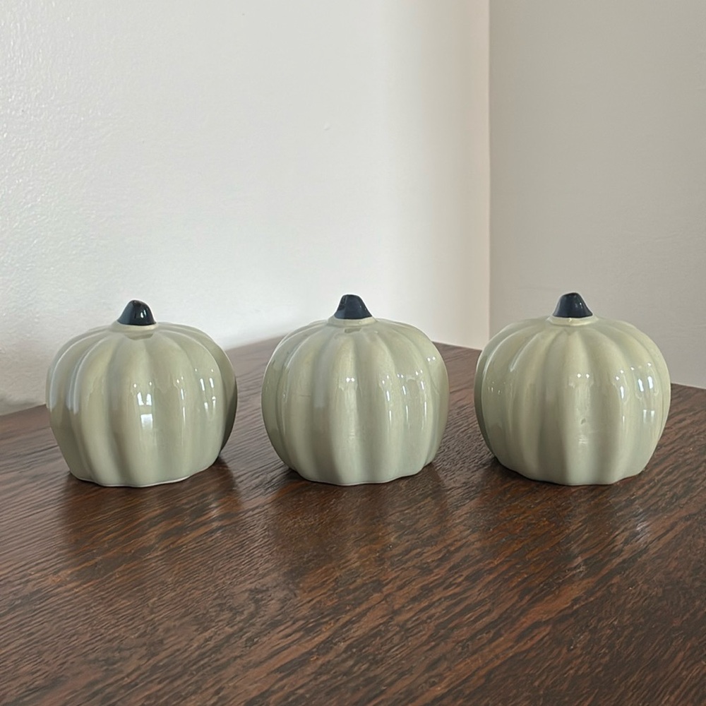 NWT- Set of 3- Gorgeous - Sage Green- Ceramic Pumpkin Fall Decorations
